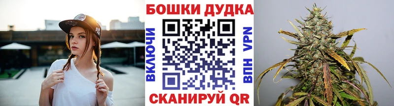Магазины продажи наркотиков Курган Кокаин  MDMA  Гашиш  СК  Каннабис  Меф мяу мяу  Галлюциногенные грибы 