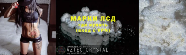 прущие грибы Заводоуковск