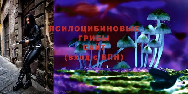 не бодяженный Строитель