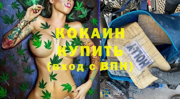 дживик Тайга