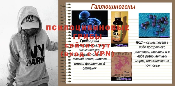 не бодяженный Строитель