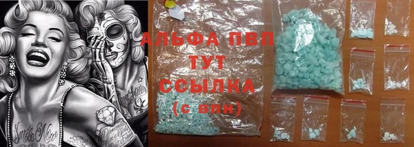 дживик Тайга