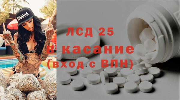 ECSTASY Никольск