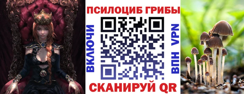 кракен рабочий сайт Курган Псилоцибиновые грибы мицелий