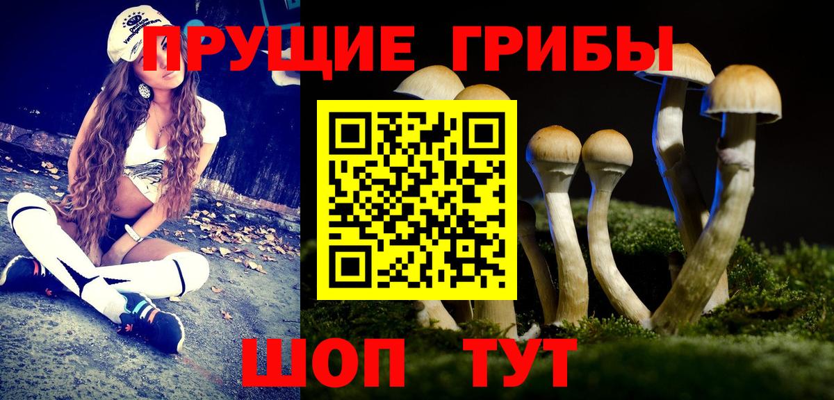 Галлюциногенные грибы ЛСД  Псилоцибиновые грибы MAGIC MUSHROOMS  наркотики  Курган  Вход с VPN 
