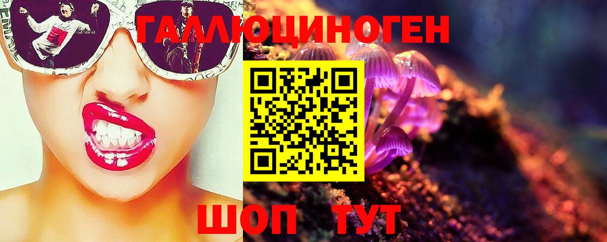 Галлюциногенные грибы Magic Shrooms Курган