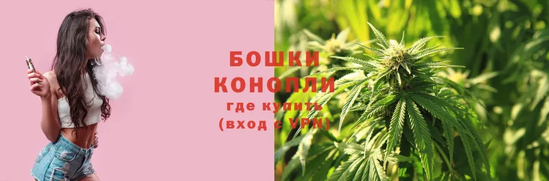 где можно купить наркотик  Курган  Каннабис индика 